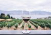 Numeri record per la Special Edition del Vinitaly