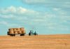 fondo imprese agricole
