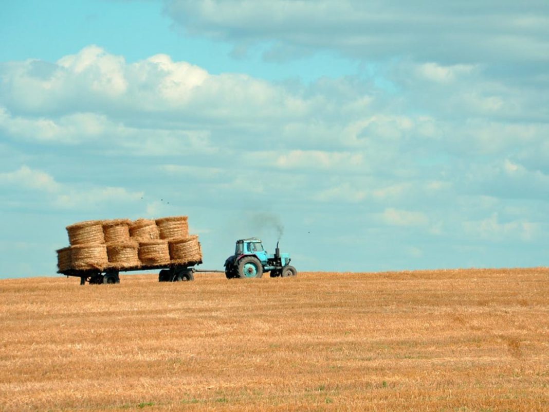 fondo imprese agricole