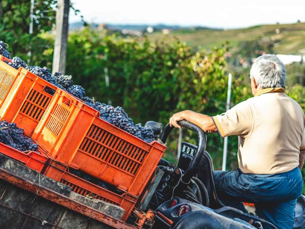 legge di bilancio agricoltura