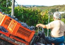 legge di bilancio agricoltura