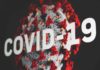 monitoraggio covid novembre