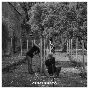 Cincinnato