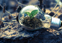 Il ruolo dell’innovazione nel rilancio dell’economia italiana