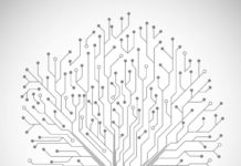 LGA Service nel 2026: innovazione, inclusione sociale e crescita integrata